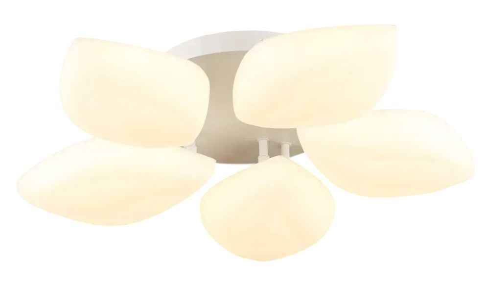 Люстра VALESO 5 плафонов LED 60W Белый Сталь Акрил 3000K+6500K YH1411/5